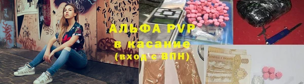ешки Бородино