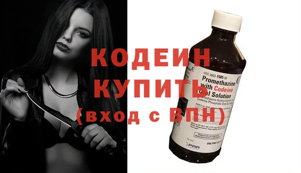 ешки Бородино