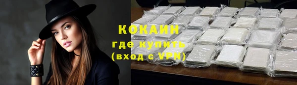 ешки Бородино