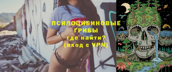 ешки Бородино