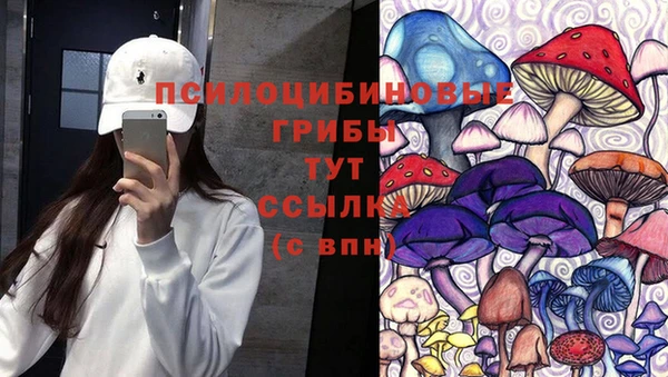 прущая мука Бронницы