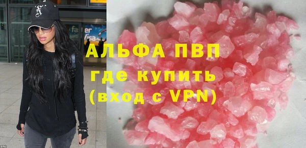 ешки Бородино