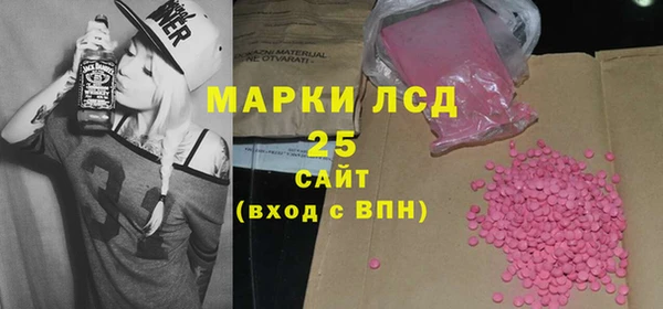 ешки Бородино