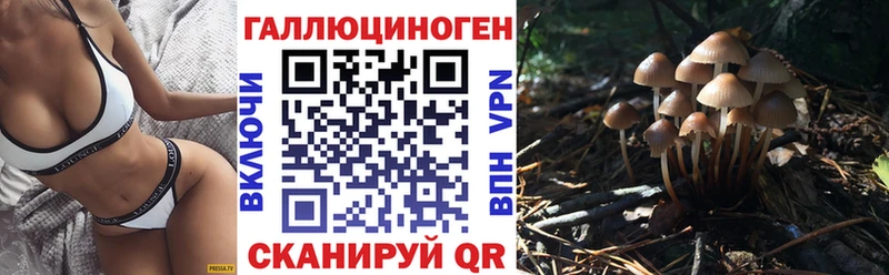 Галлюциногенные грибы мицелий  даркнет сайт  Реутов 